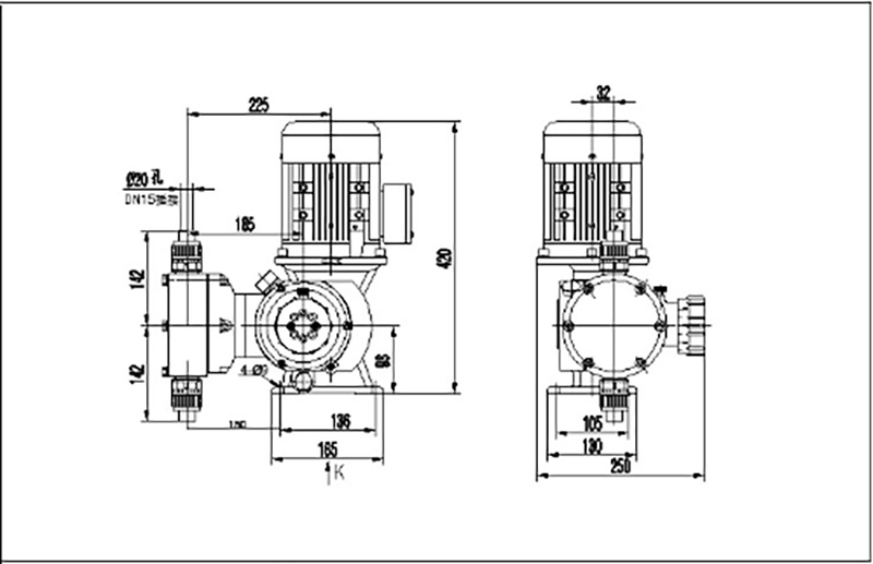 Metering Pump Diagram