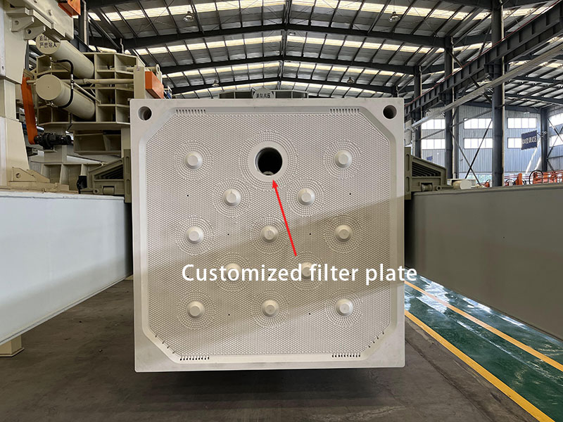 Customized filter plate