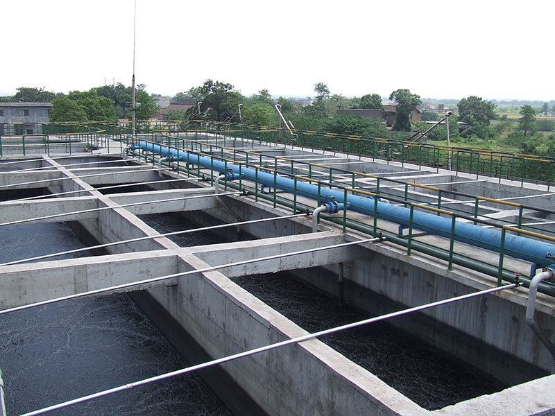 Coal coking wastewater