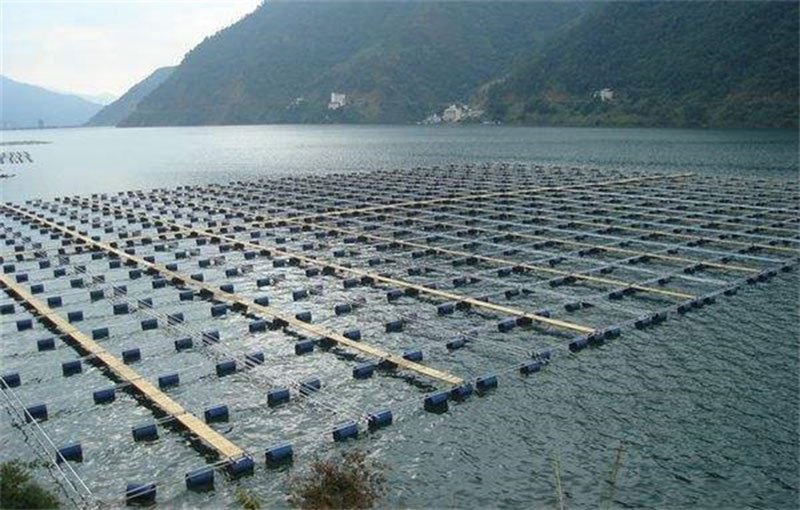 aquaculture