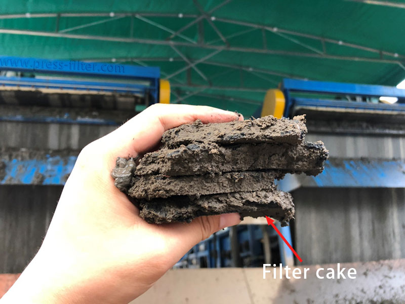 filter cake