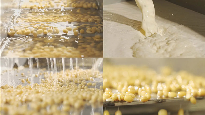 Soybean processing