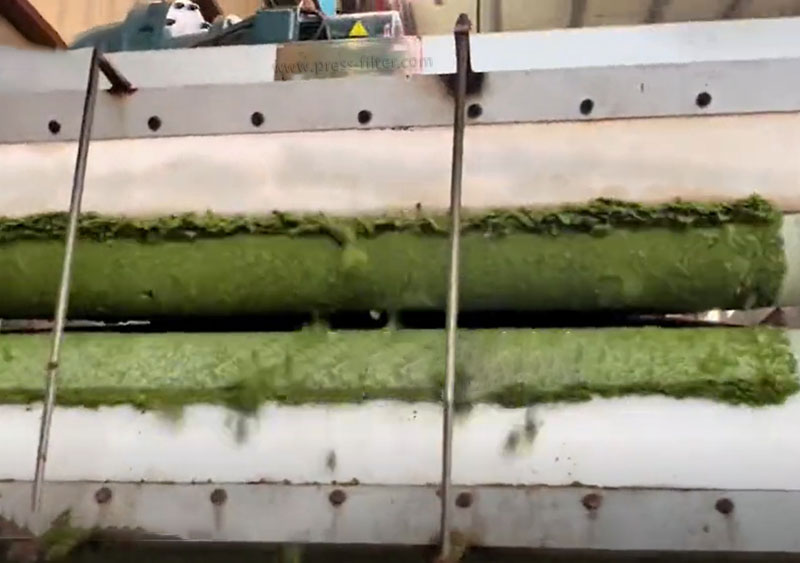 filter cake